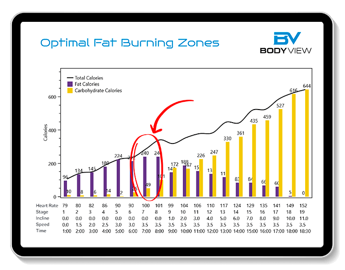An example of our FatMax test results